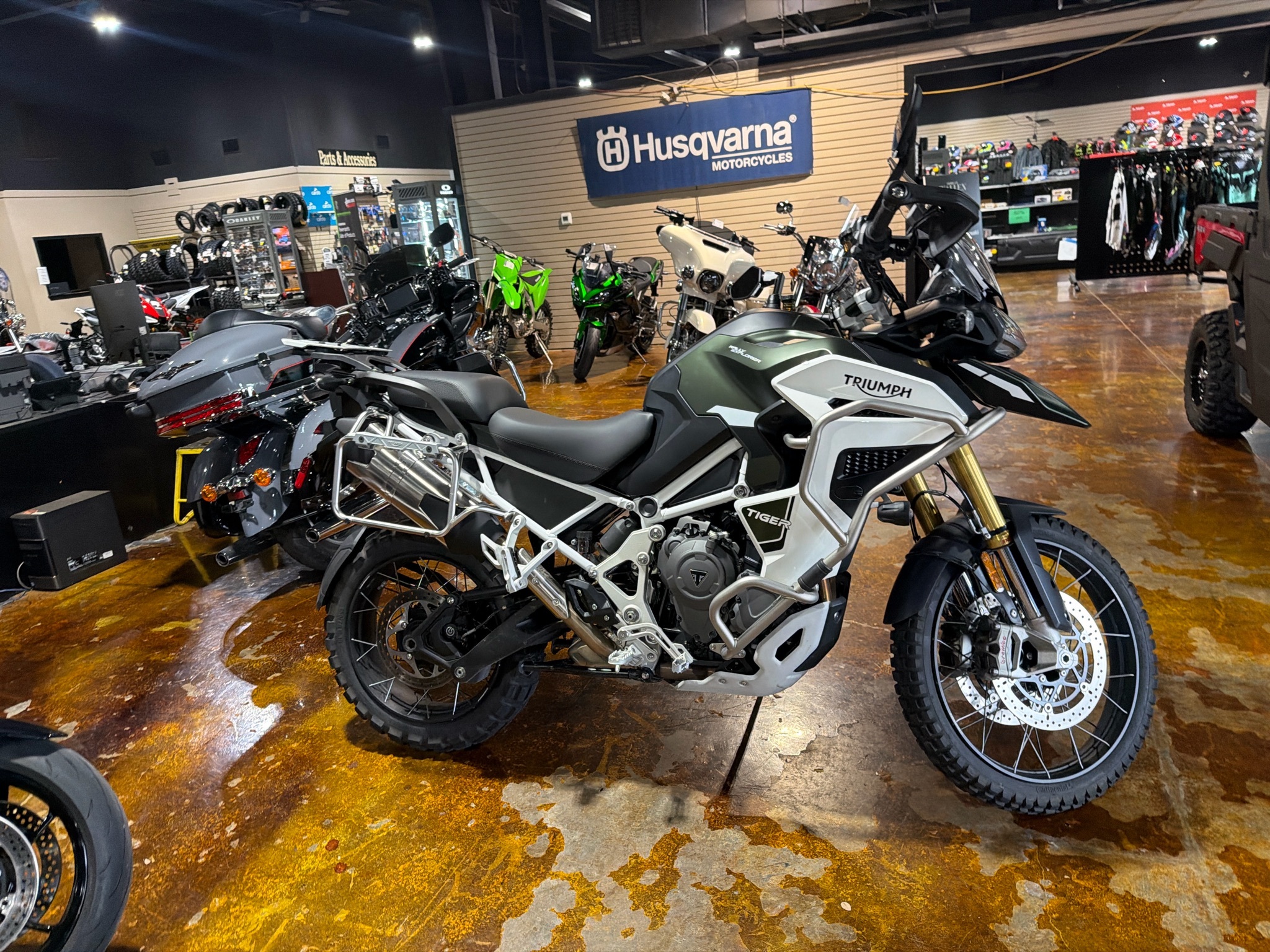 2025 Triumph Tiger 1200 Rally Explorer RALLY EXPLORER in Cookeville, TN