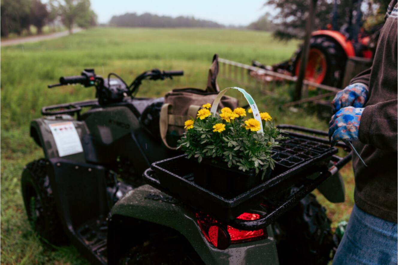 A photo of this 2026 Kymco Mongoose 270i