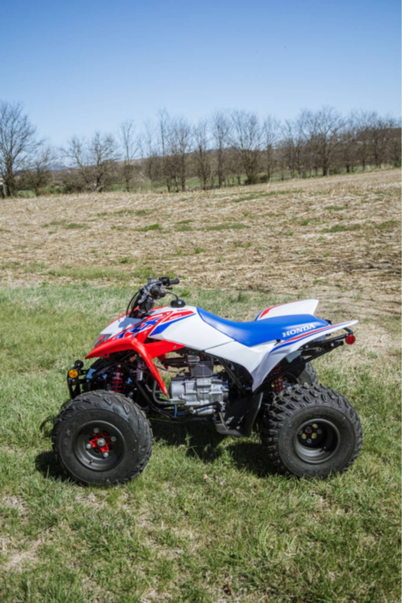 A photo of this 2026 Honda® TRX250X