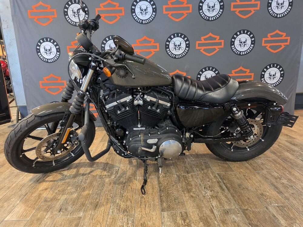 2019 Harley-Davidson Iron 883 IRON in Winterville, NC