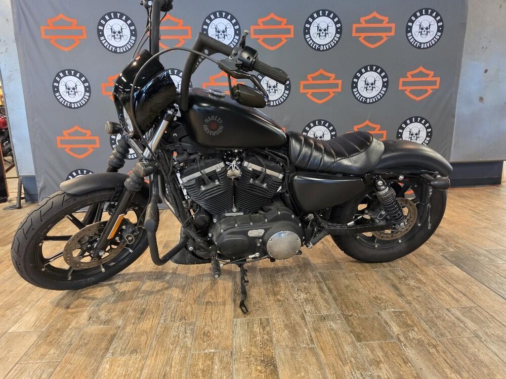 2019 Harley-Davidson Iron 883 IRON in Winterville, NC