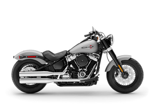 2020 Harley-Davidson Softail Slim SLIM in Winterville, NC
