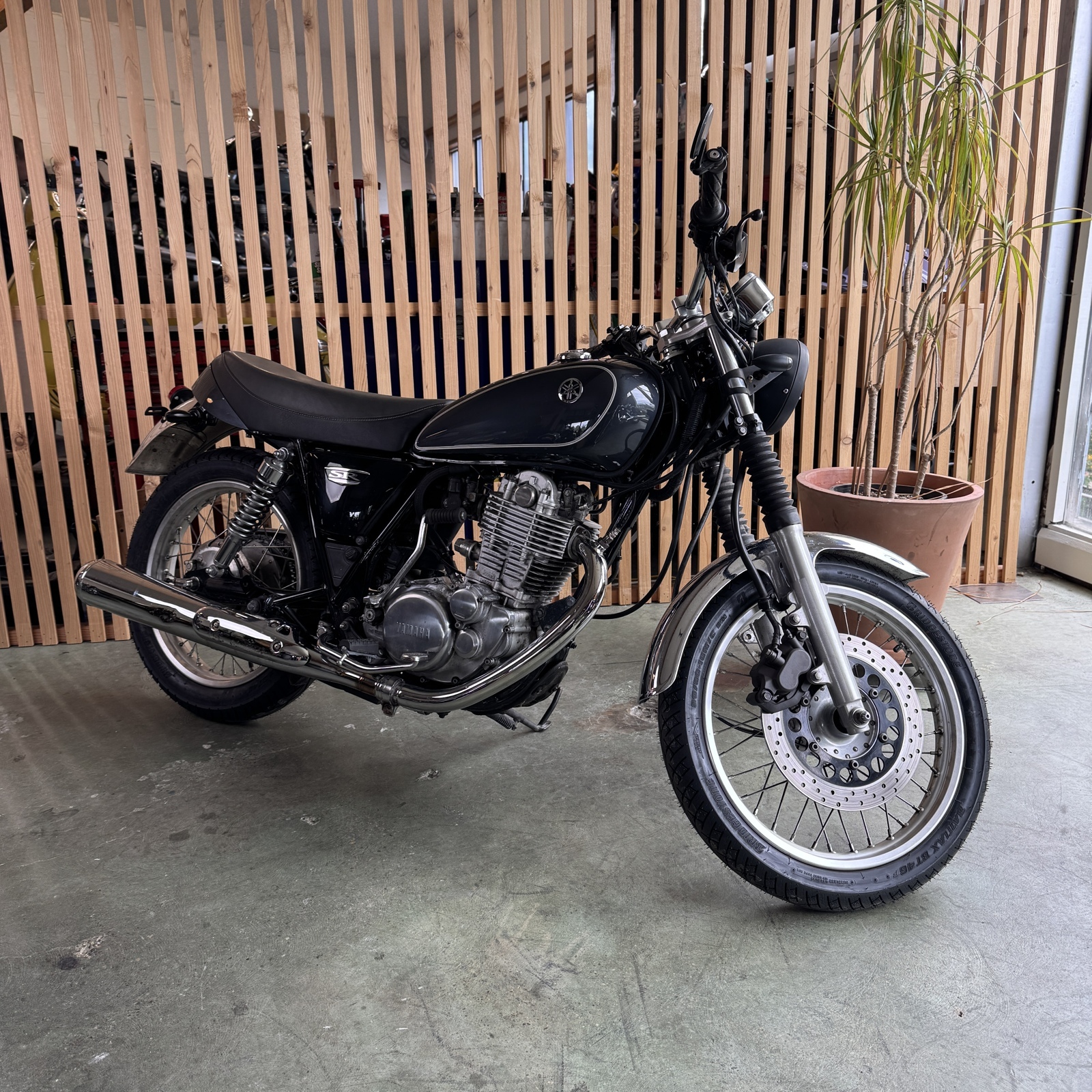 2015 Yamaha SR400 BASE in Seattle, WA