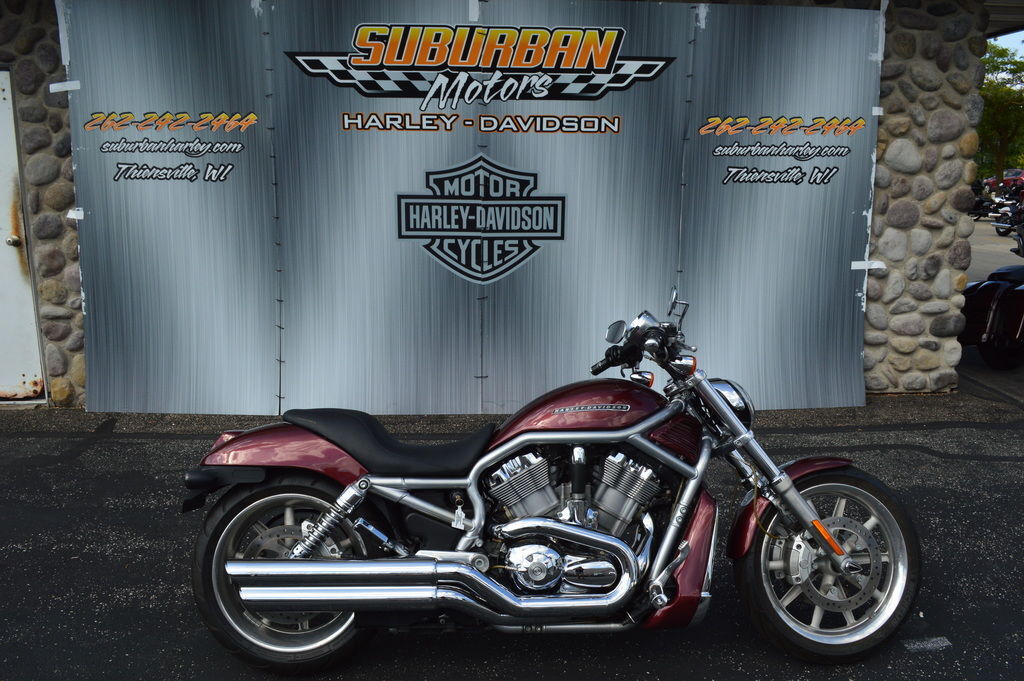 2006 Harley-Davidson® VRSCA - V-Rod® in Thiensville, WI