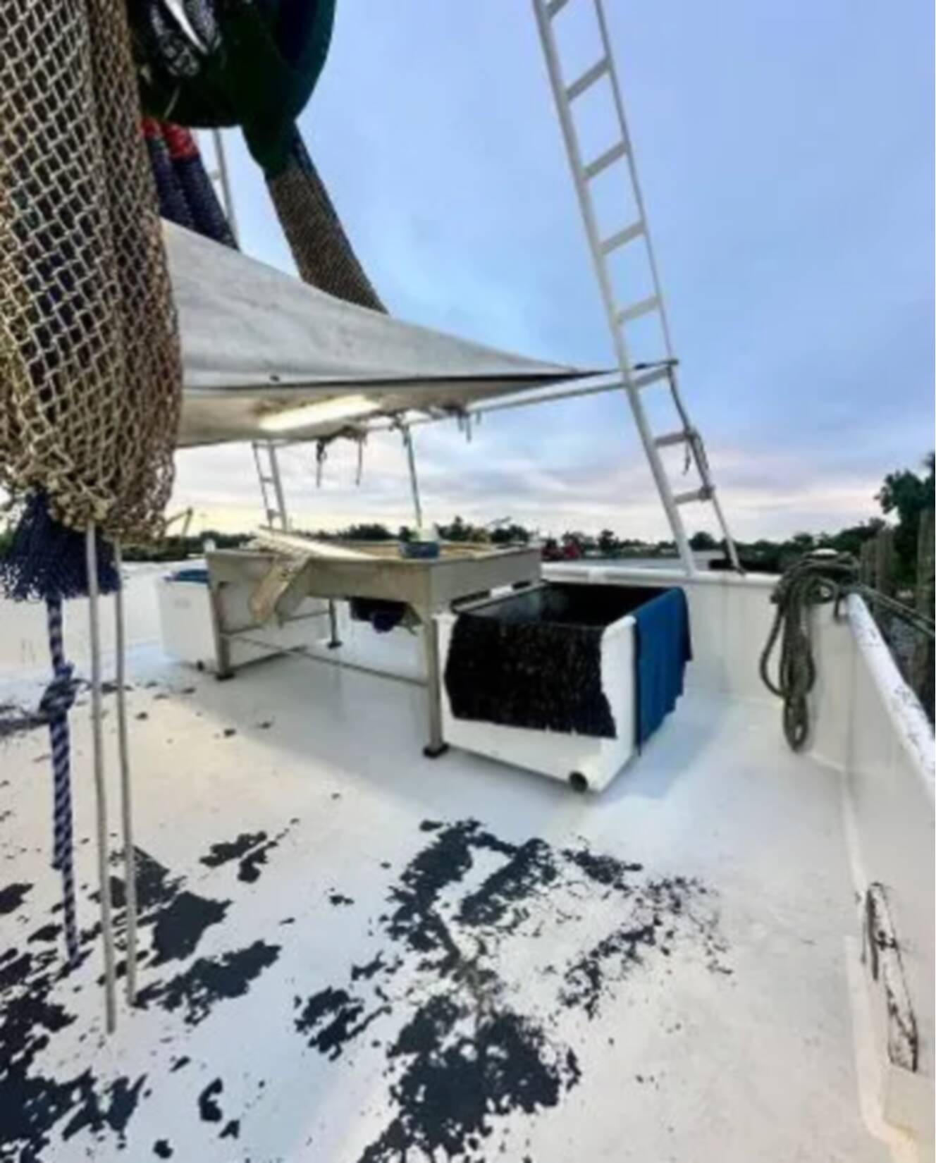 A photo of this 2001 Blanchard 69 Shrimper/Freezer