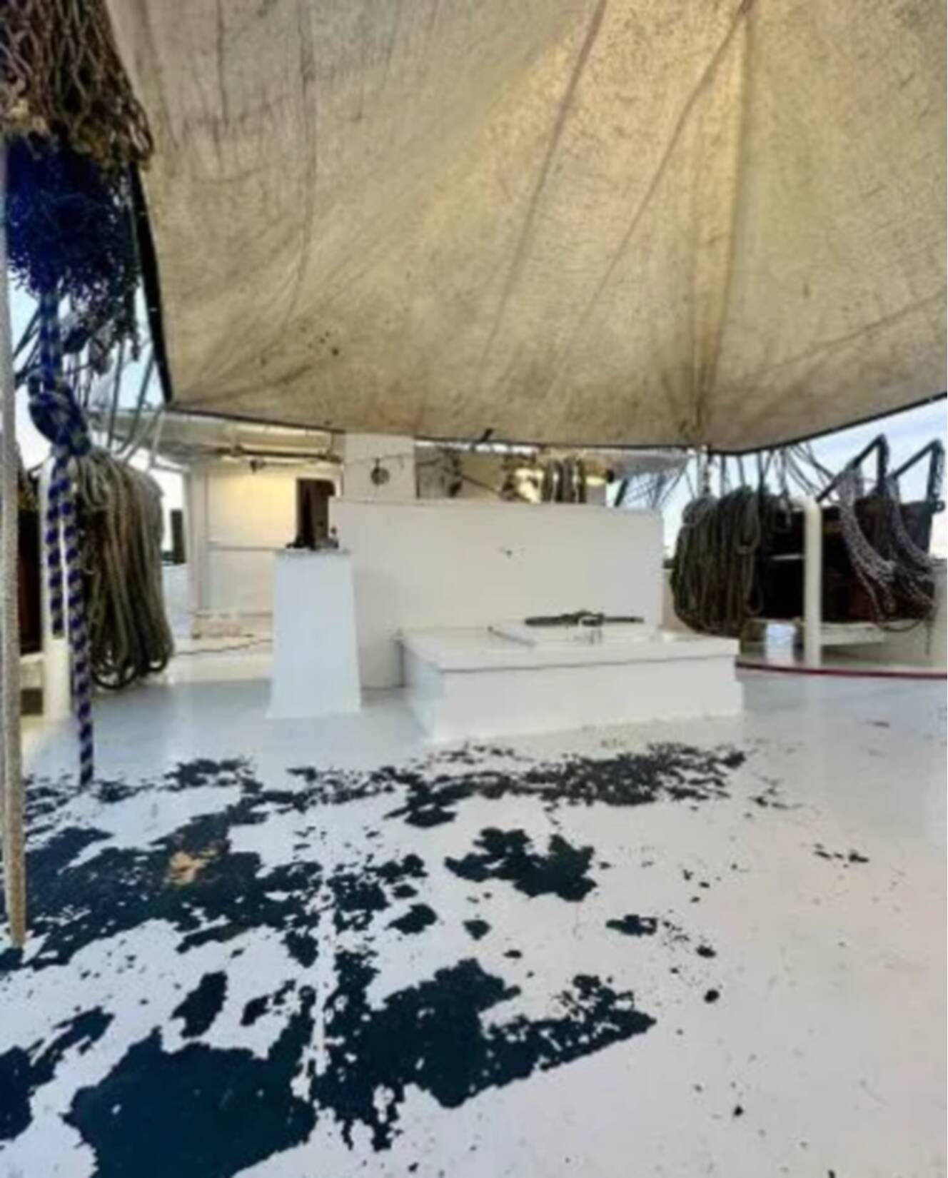 A photo of this 2001 Blanchard 69 Shrimper/Freezer