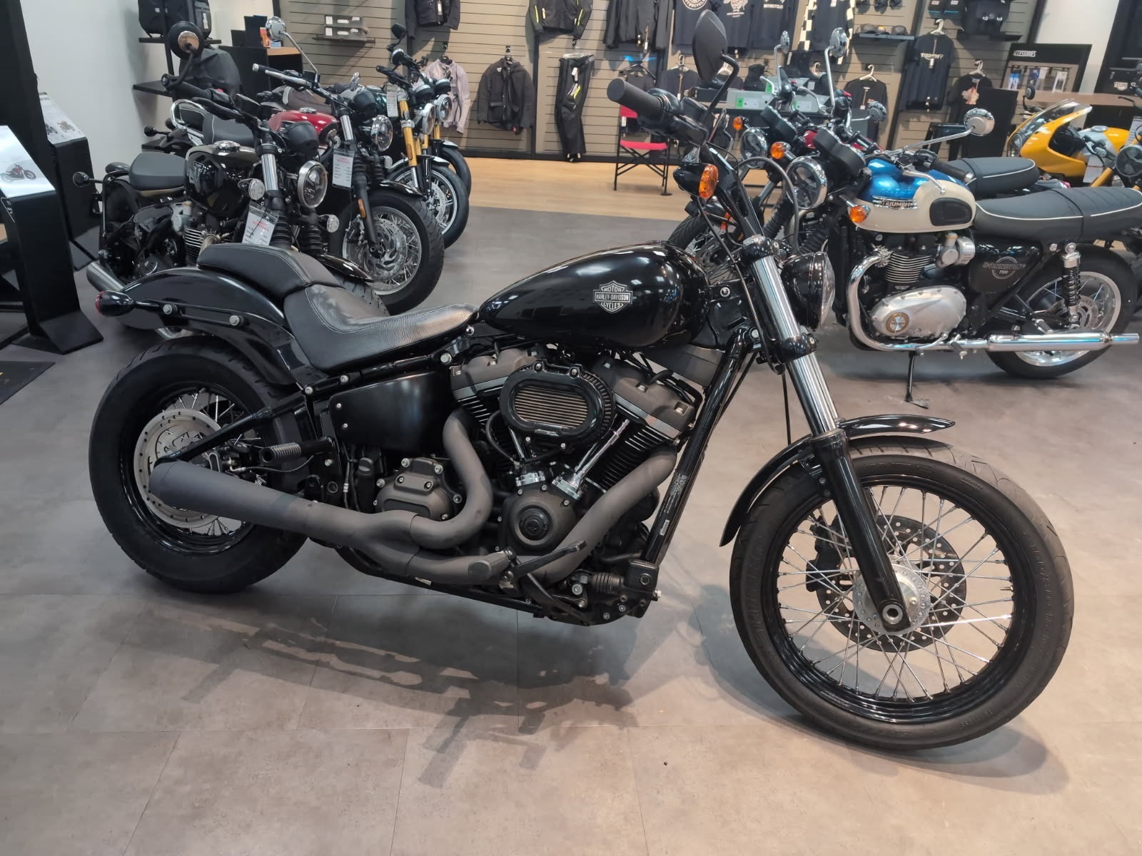 2020 Harley-Davidson Street Bob® in New Haven, CT