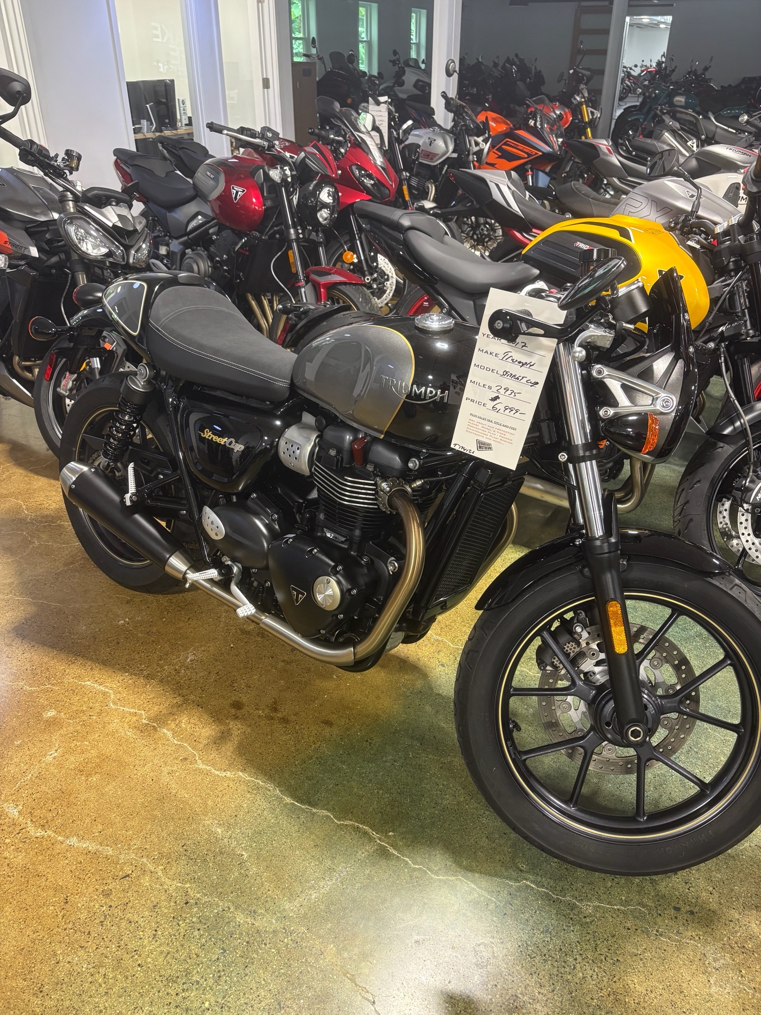 2017 Triumph Street Cup in Bala Cynwyd, PA