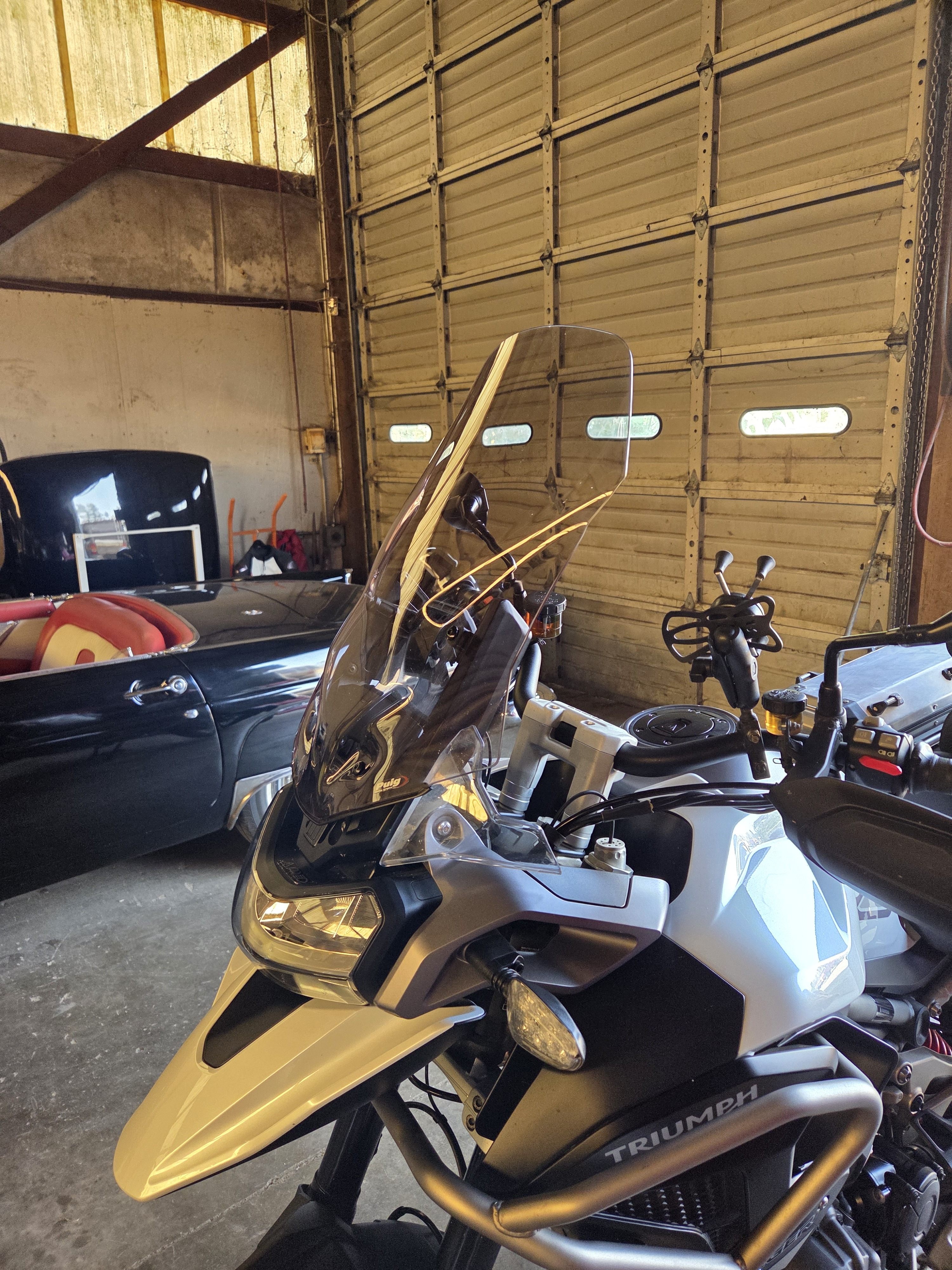 2023 Triumph TIGER 1200 GT PRO GT PRO in Dayton, OR