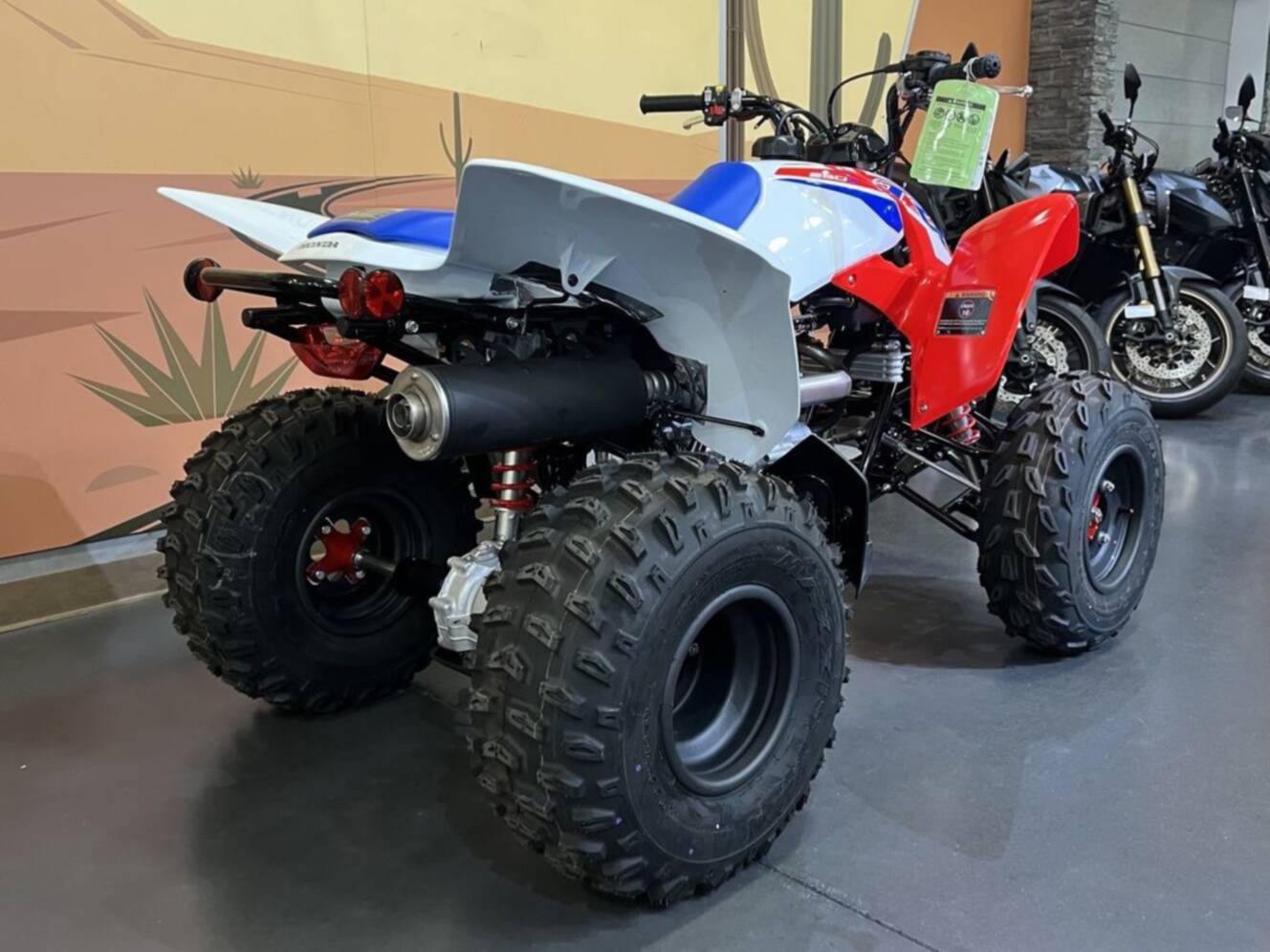 A photo of this 2026 Honda TRX 250X