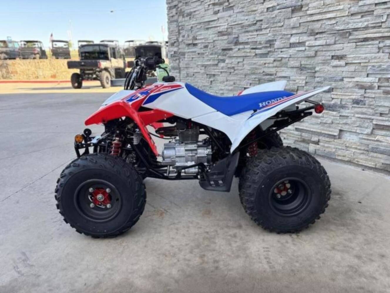 A photo of this 2026 Honda TRX 250X