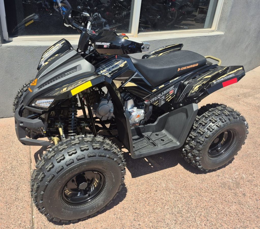 2026 Denago Powersports Trailhawk 10FI in 85032 AZ