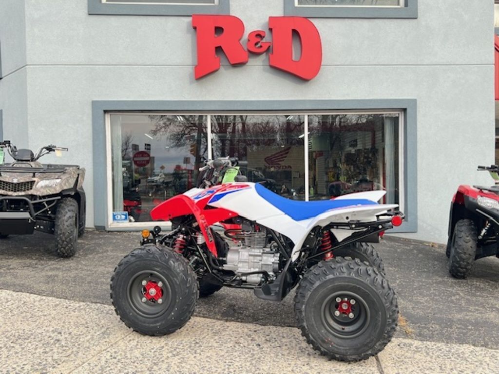 2026 Honda® TRX250X in palmerton PA