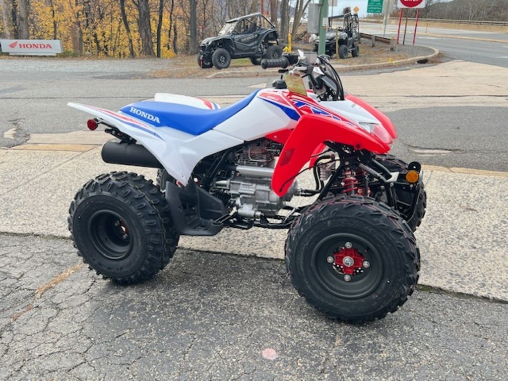 2026 Honda® TRX250X in palmerton PA