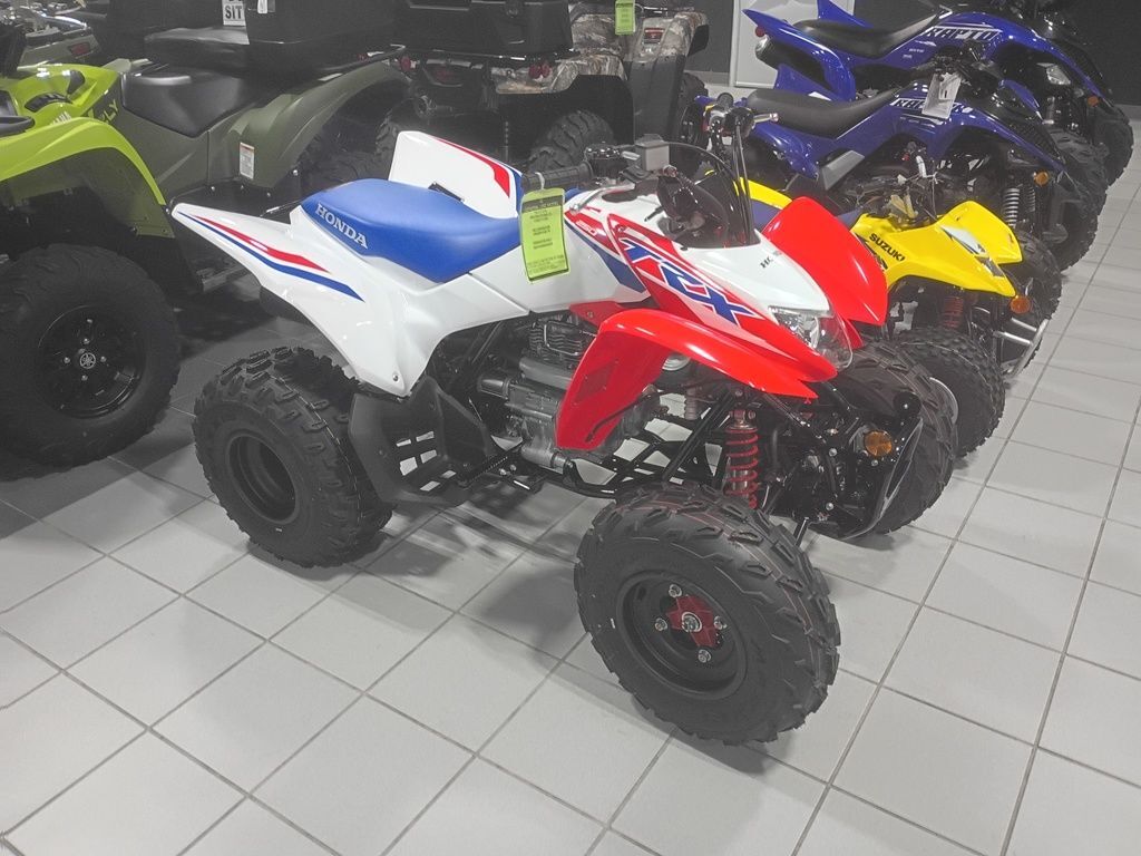 2026 Honda® TRX250X in oakland FL