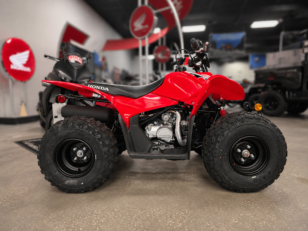 2026 Honda® TRX90X in wesley chapel FL