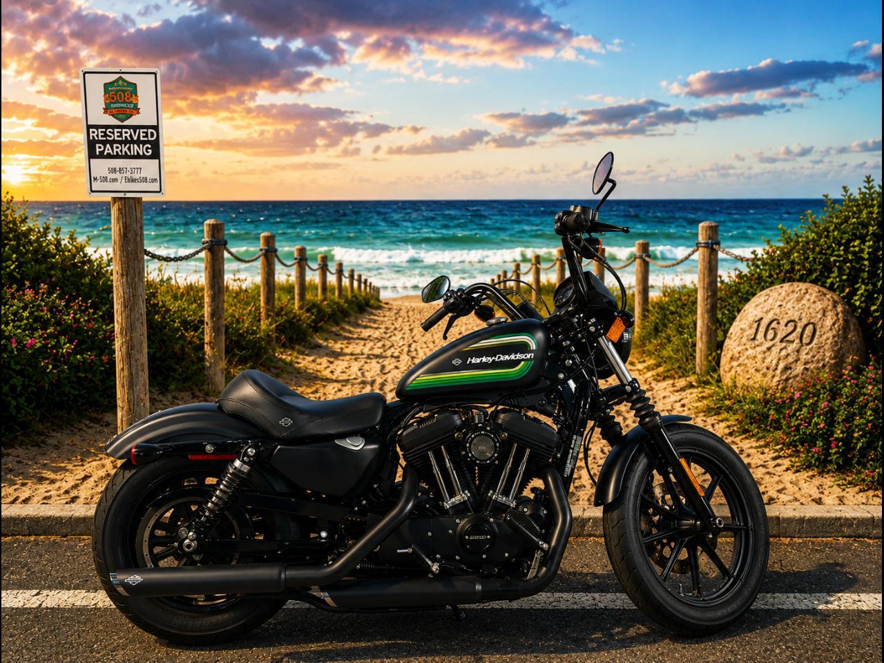 2021 Harley-Davidson Sportster Iron in Plymouth, MA