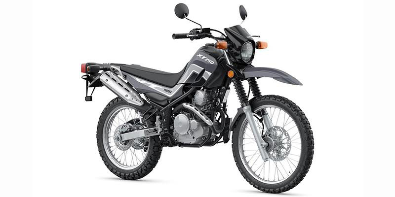 2025 Yamaha XT 250 in Falls Church, VA