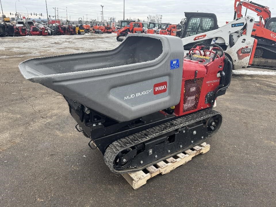 2021 TORO ULTRA BUGGY 2500-TS in Loretto, MN
