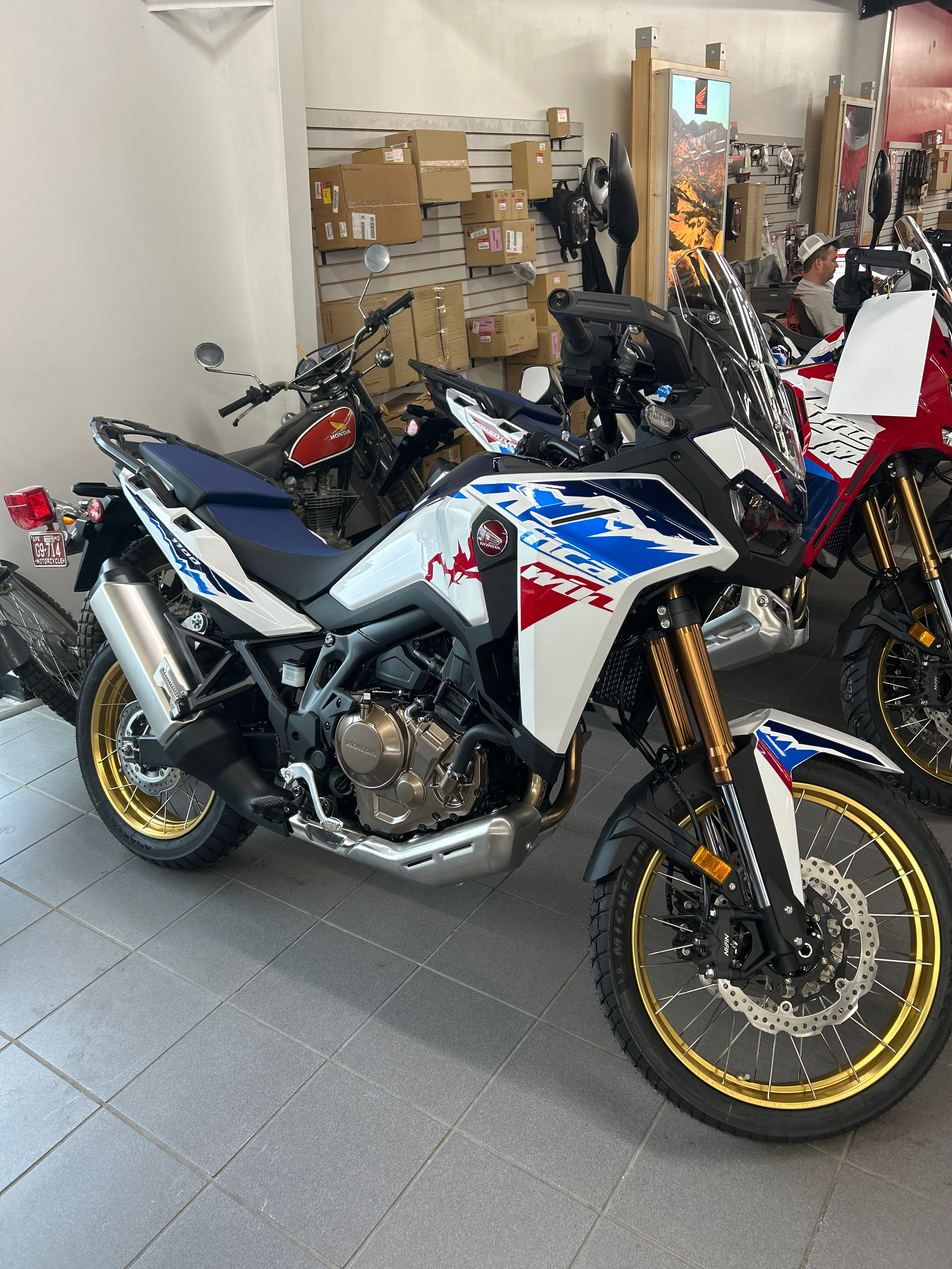 2026 Honda AFRICA TWIN Base BASE in Columbia, MO
