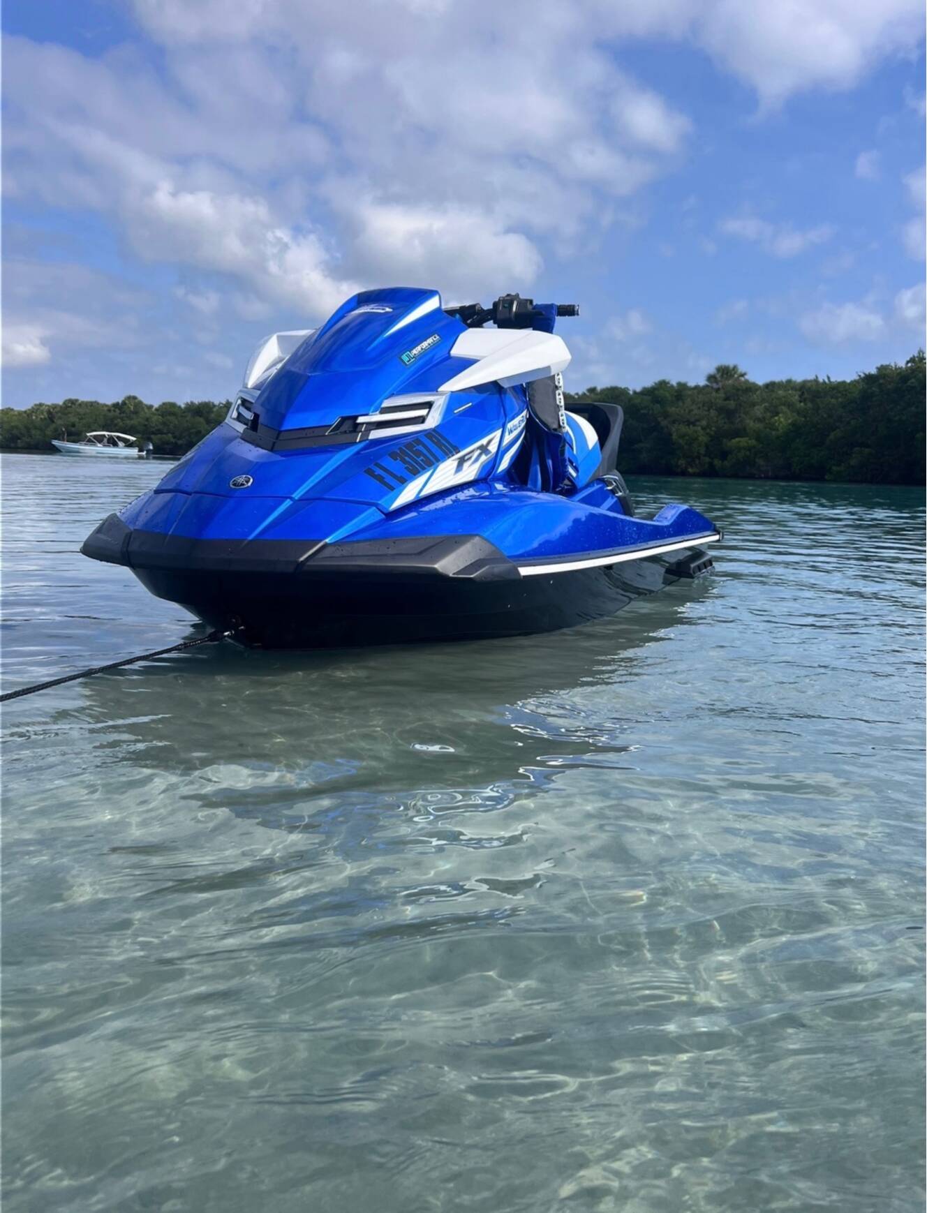A photo of this 2018 Yamaha WAVERUNNER FX SVHO