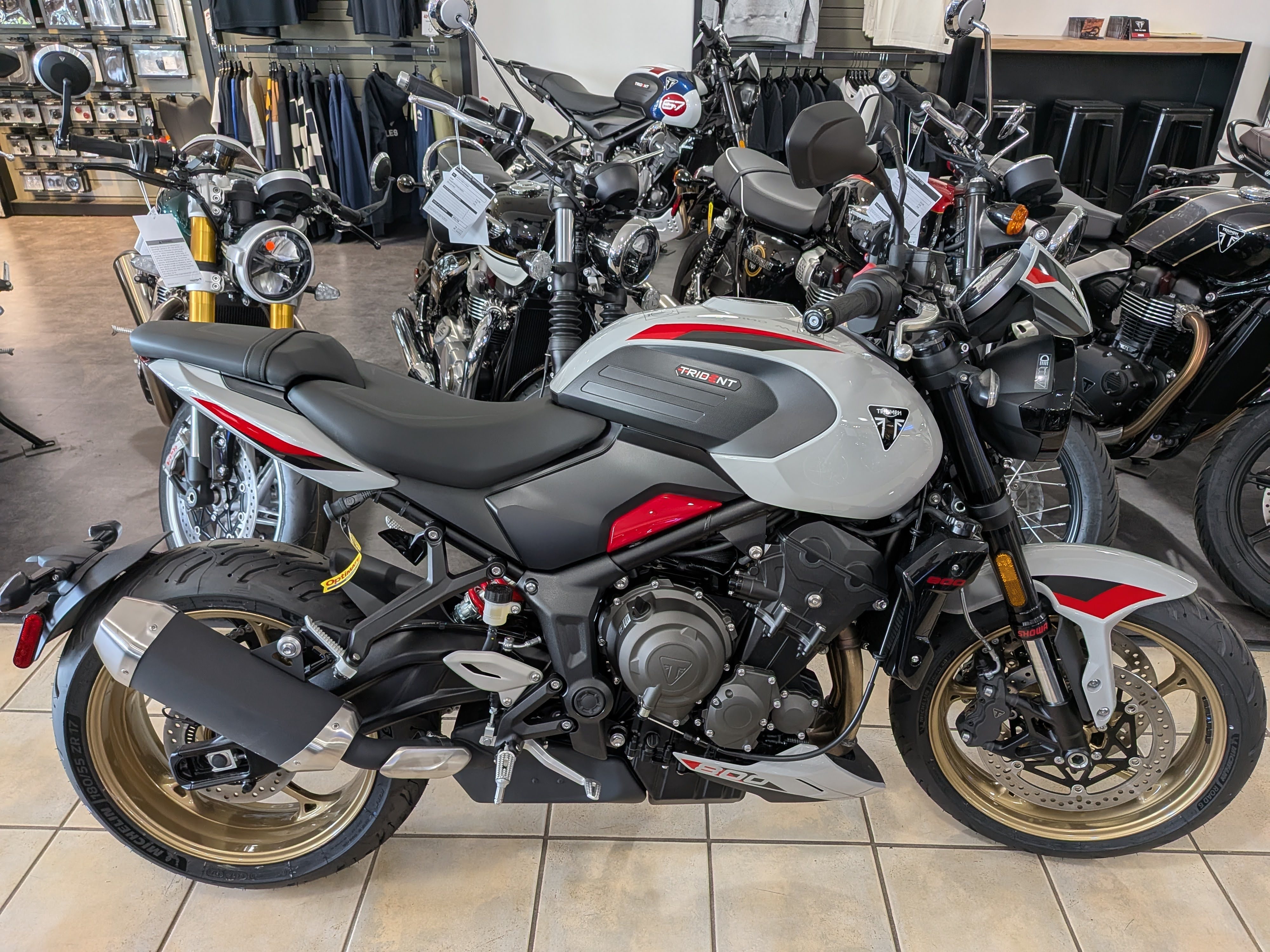 2026 Triumph Trident 800 800 in Warren, OH