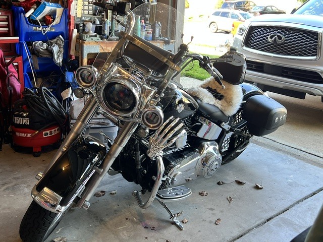 2009 Harley-Davidson SOFTAIL DELUXE DELUXE in Southport, IN