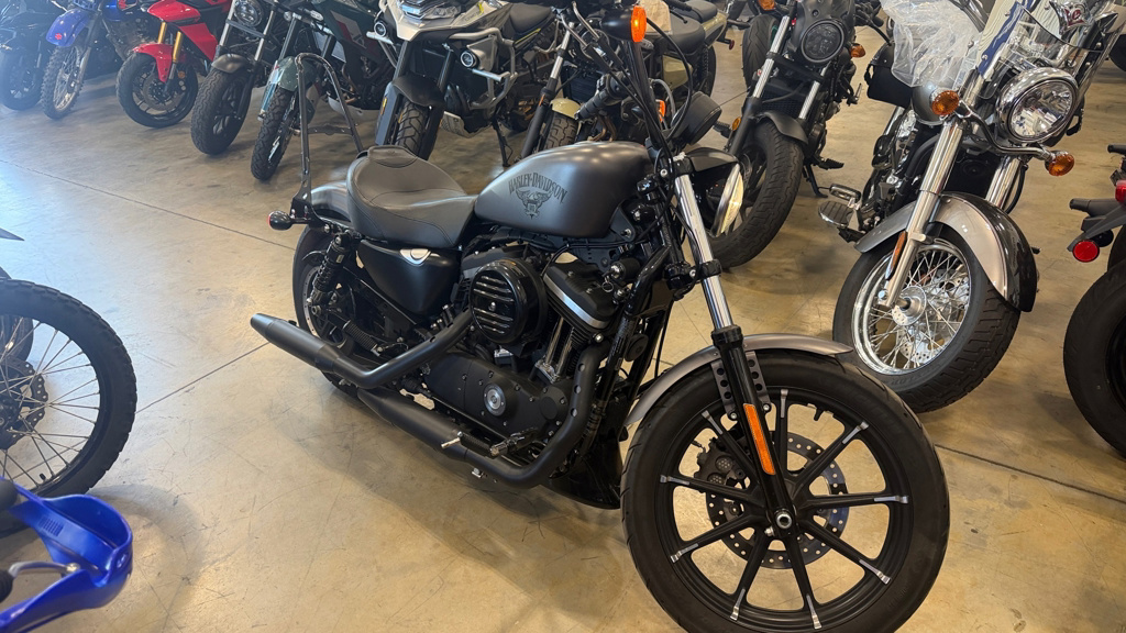 2016 Harley-Davidson XL883N Iron Iron 883 XL883N in Sublimity, OR