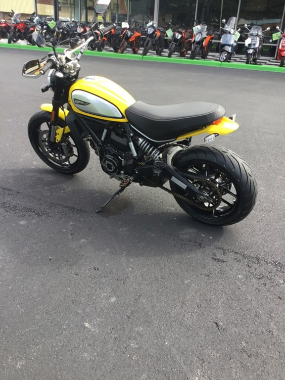2020 Ducati Scrambler 800 Icon Yellow ICON in Charlotte, NC