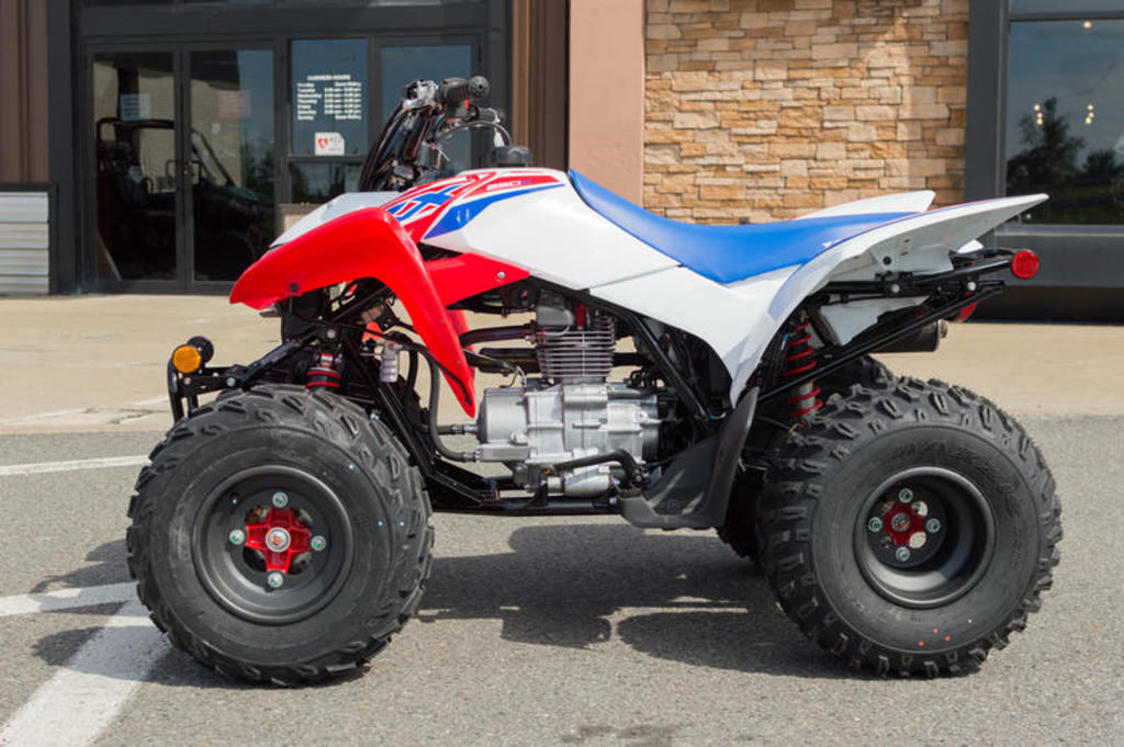 2026 Honda® TRX250X in williamsport PA