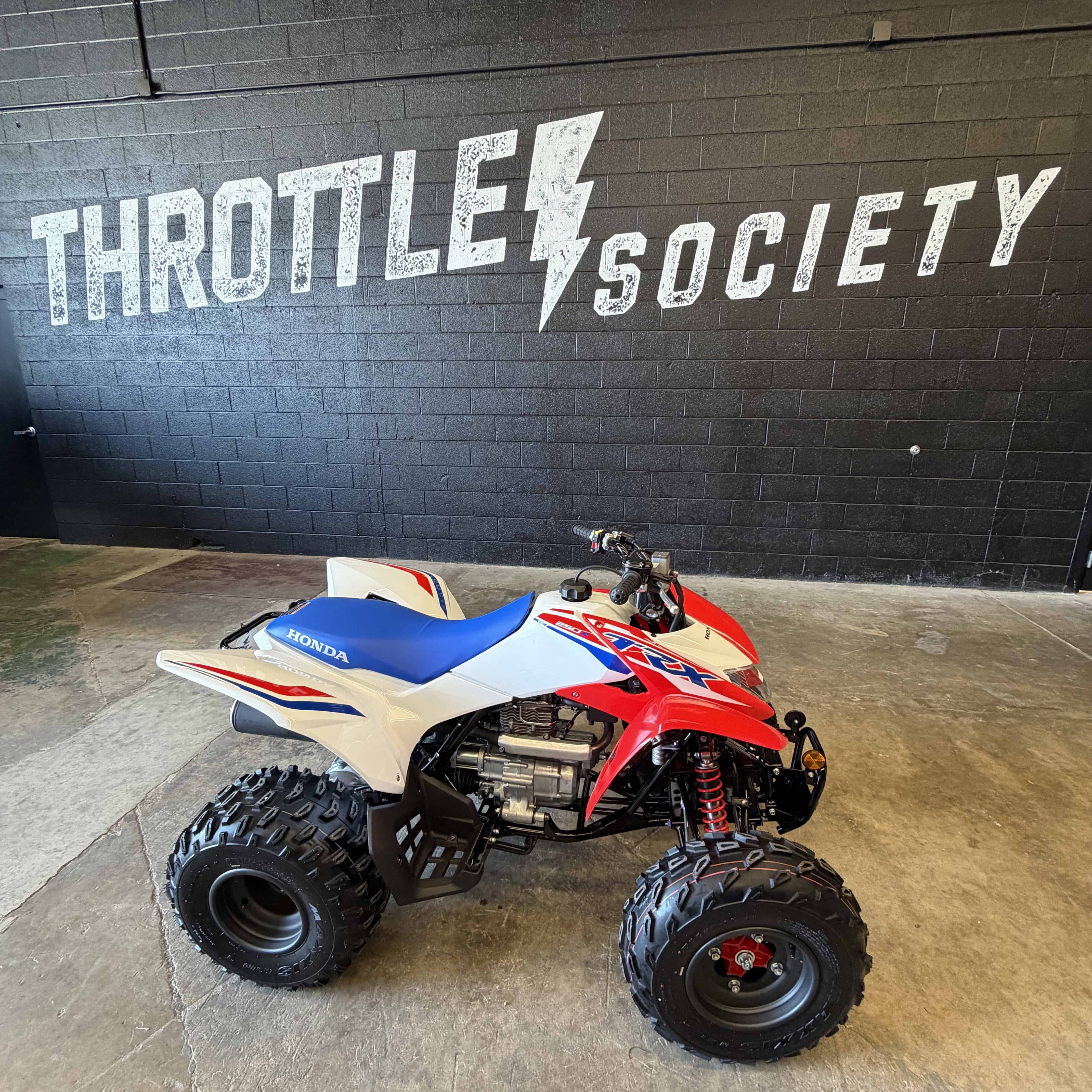 2026 Honda TRX250X in fremont OH