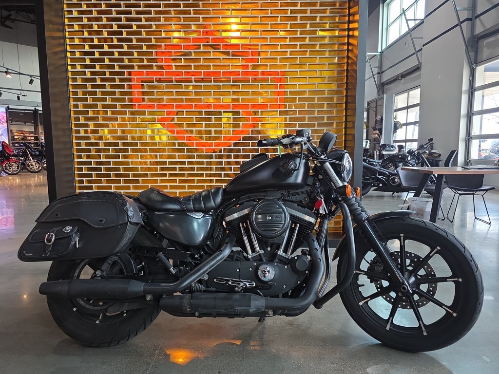 2019 Harley-Davidson Sportster Iron 883 in Temple, TX