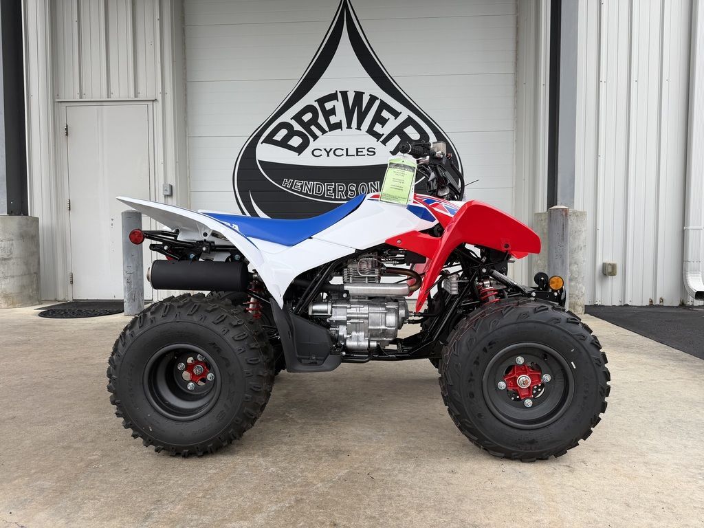 2026 Honda® TRX250X in henderson NC