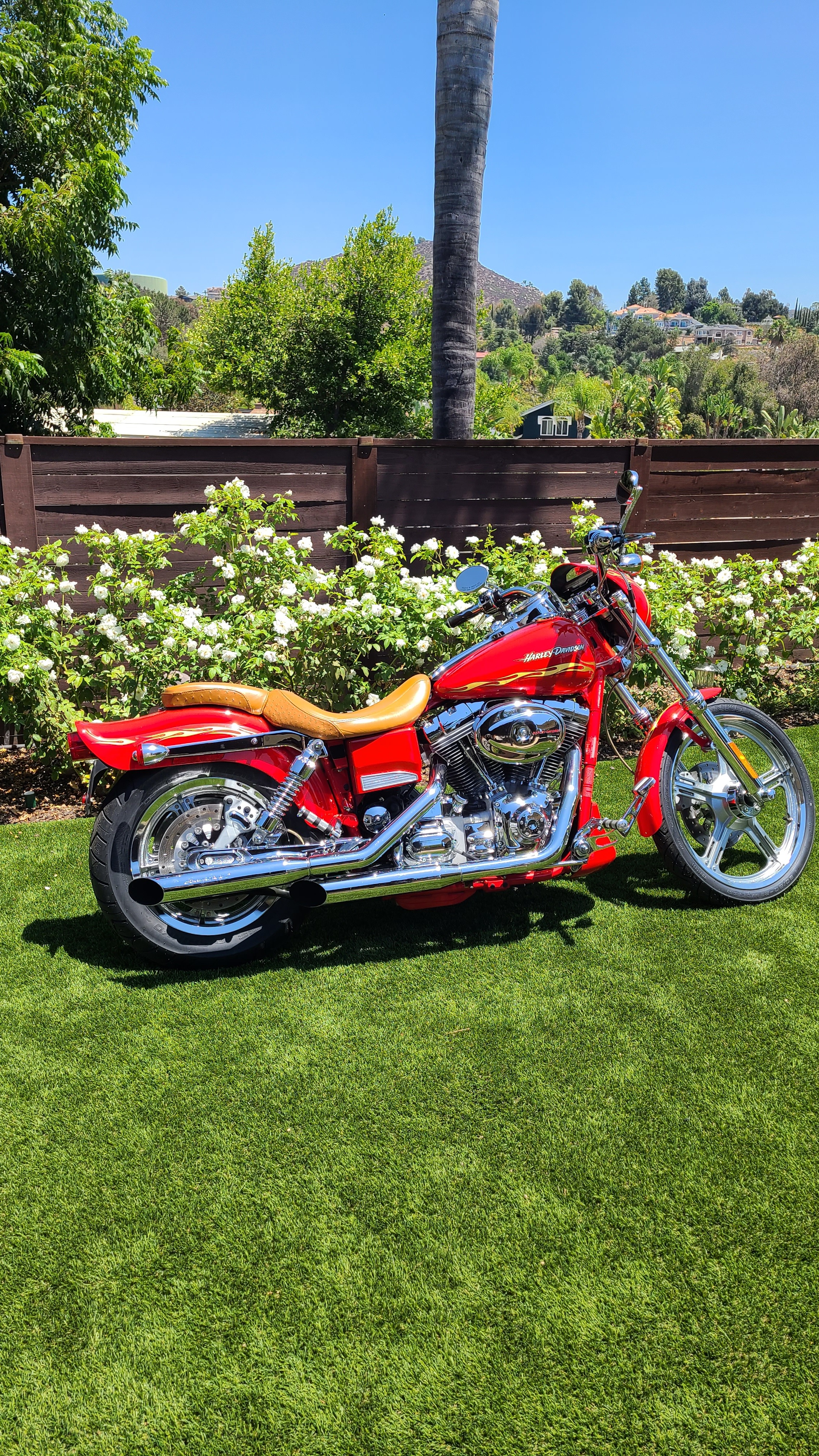 2001 Harley-Davidson SWITCH BLADE CVO CVO in El Cajon, CA