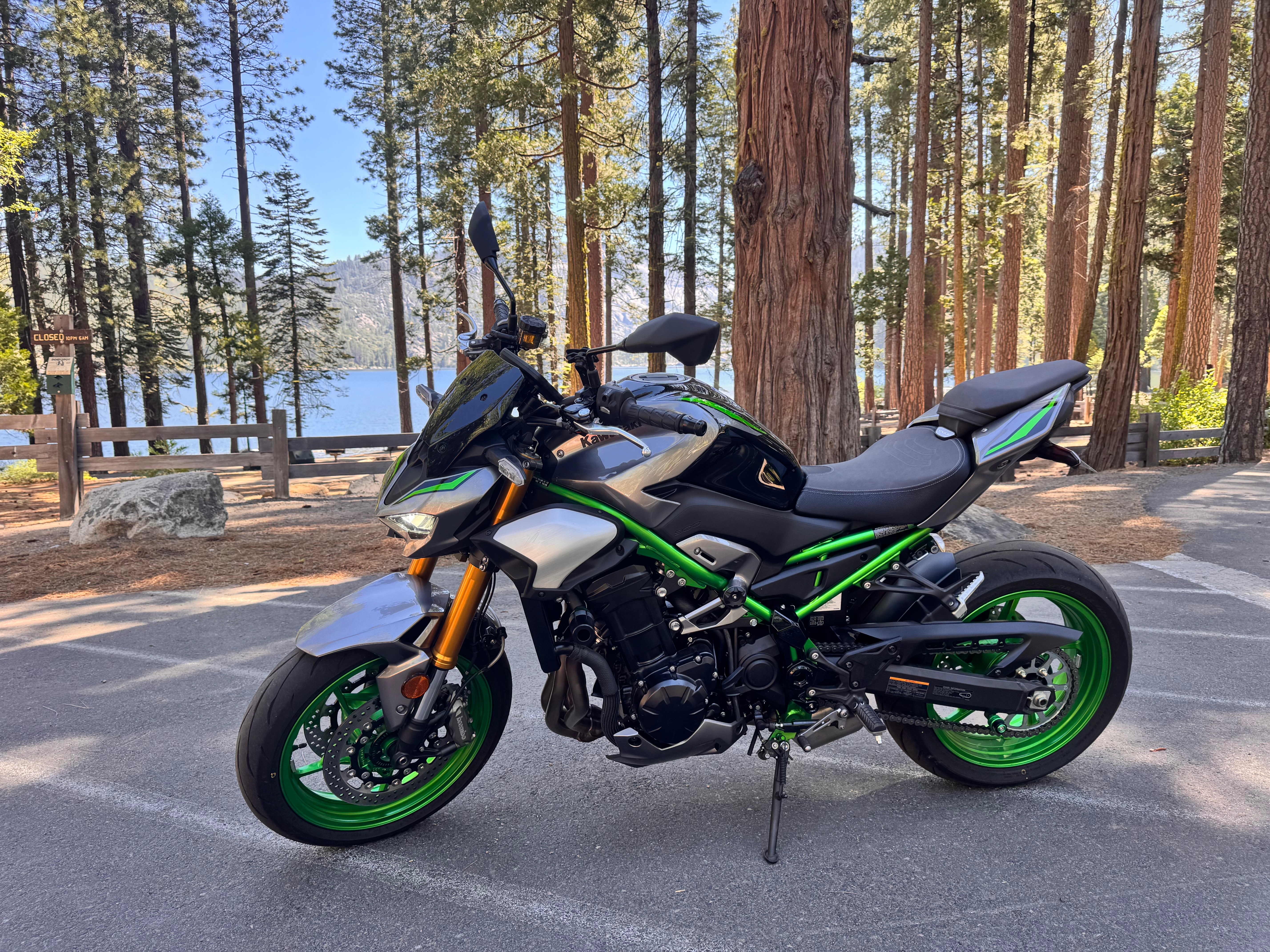 2025 Kawasaki Z900 ABS SE ABS SE in Tuolumne, CA