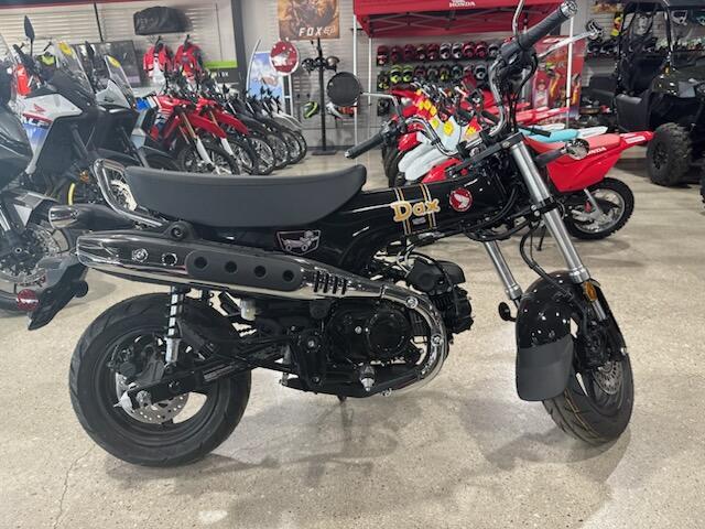 2026 Honda Dax 125 125 in Decatur, TX