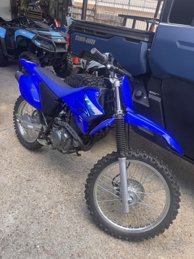 2027 Yamaha TT-R230 in College Station, TX
