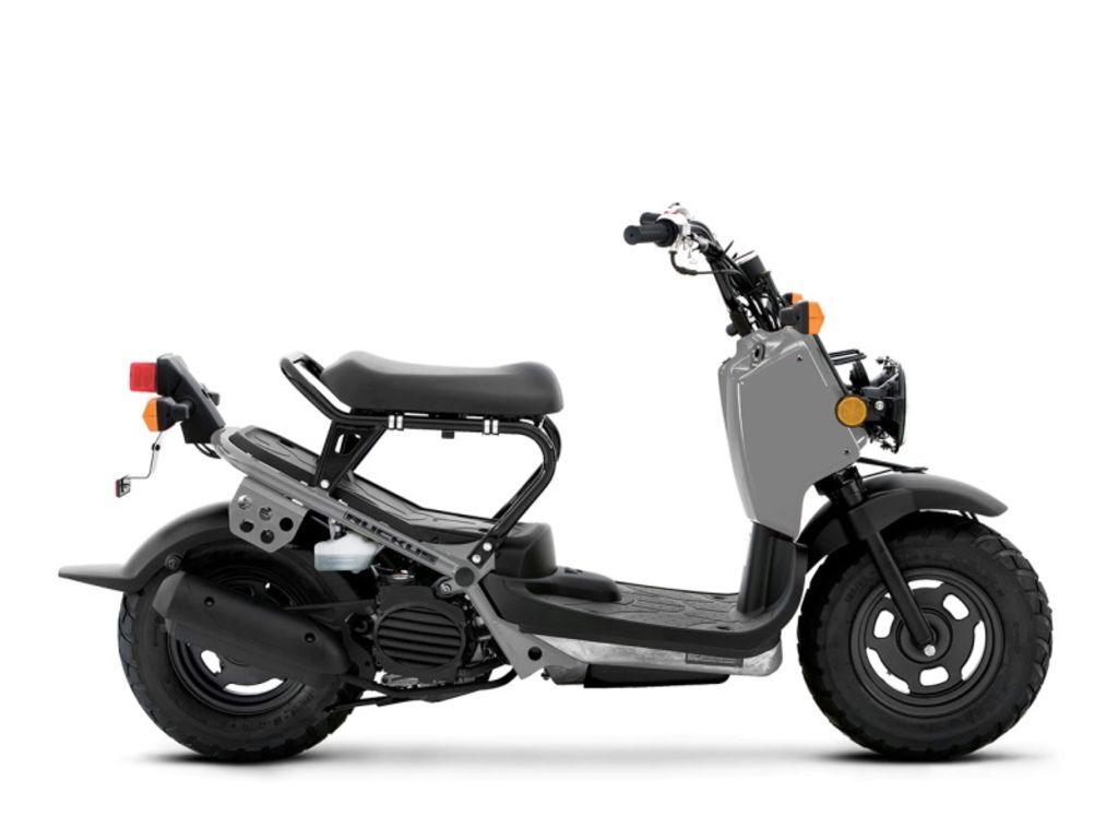 2023 Honda® Ruckus in Florence, AL