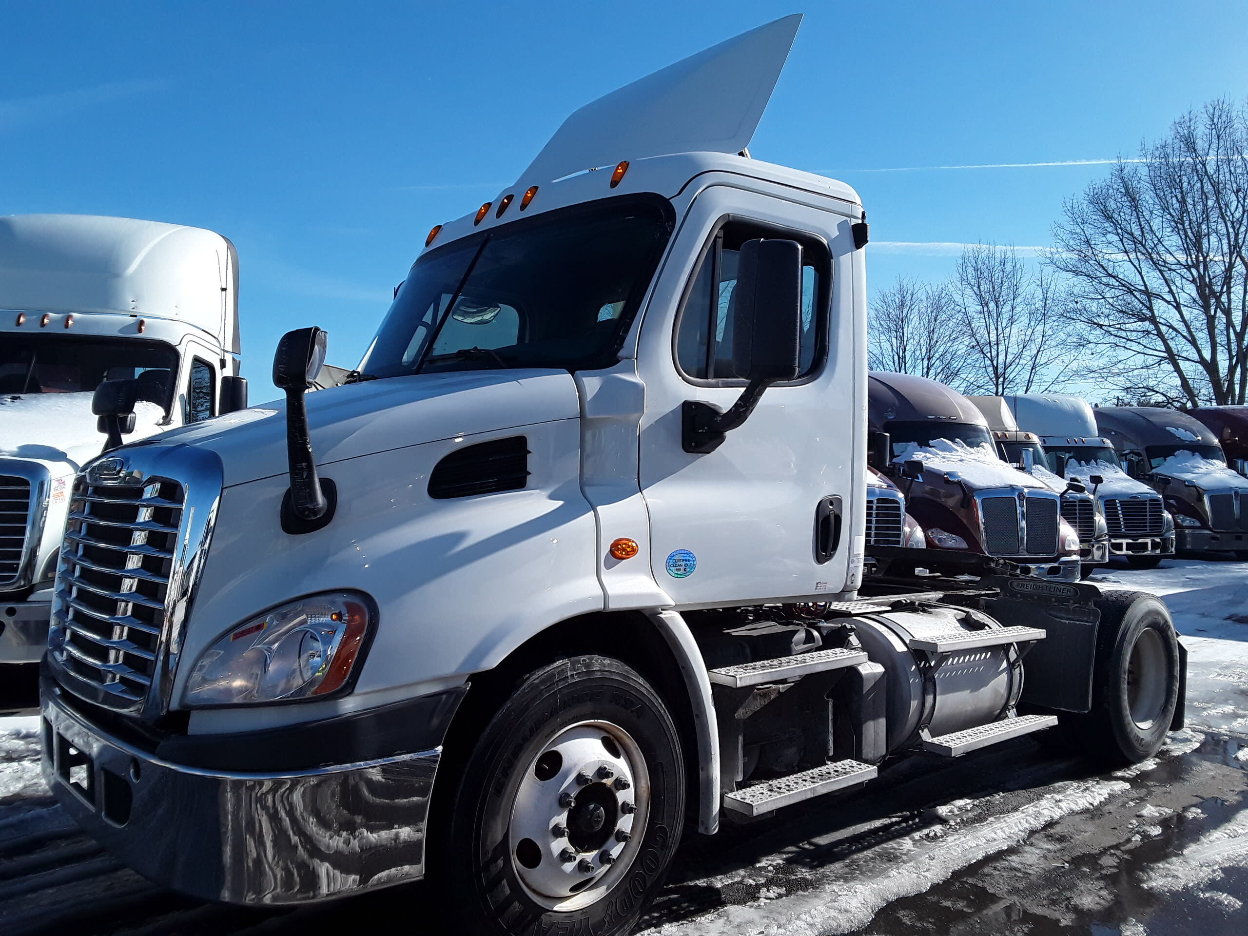 2015 FREIGHTLINER CASCADIA 113 in Salisbury, MA