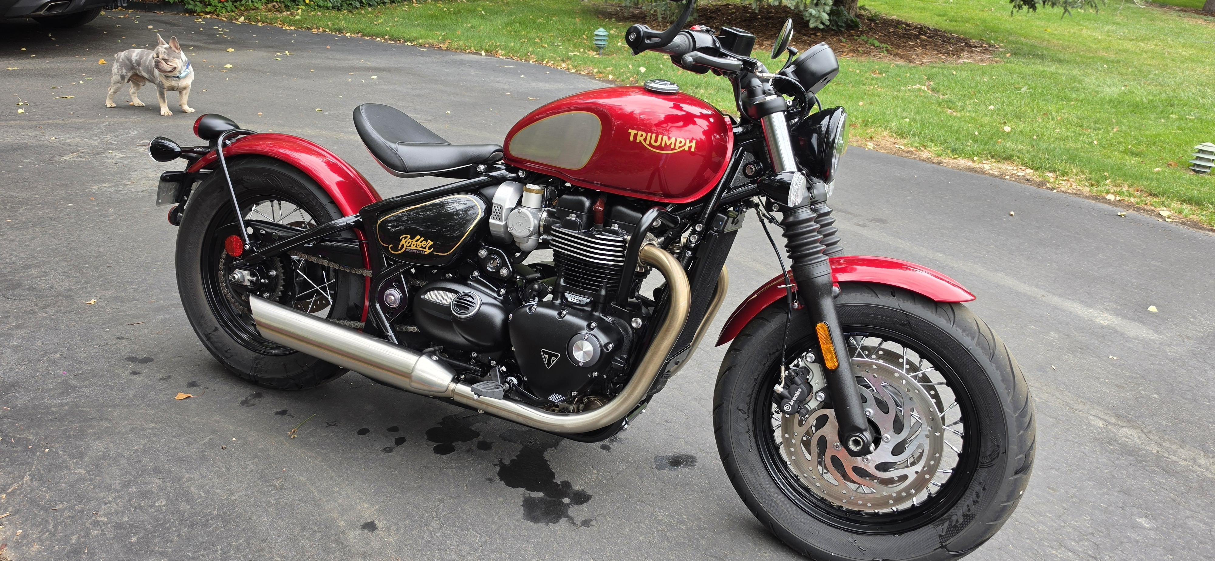 2022 Triumph BONNEVILLE BOBBER GOLD LINE GOLD LINE in Boulder, CO