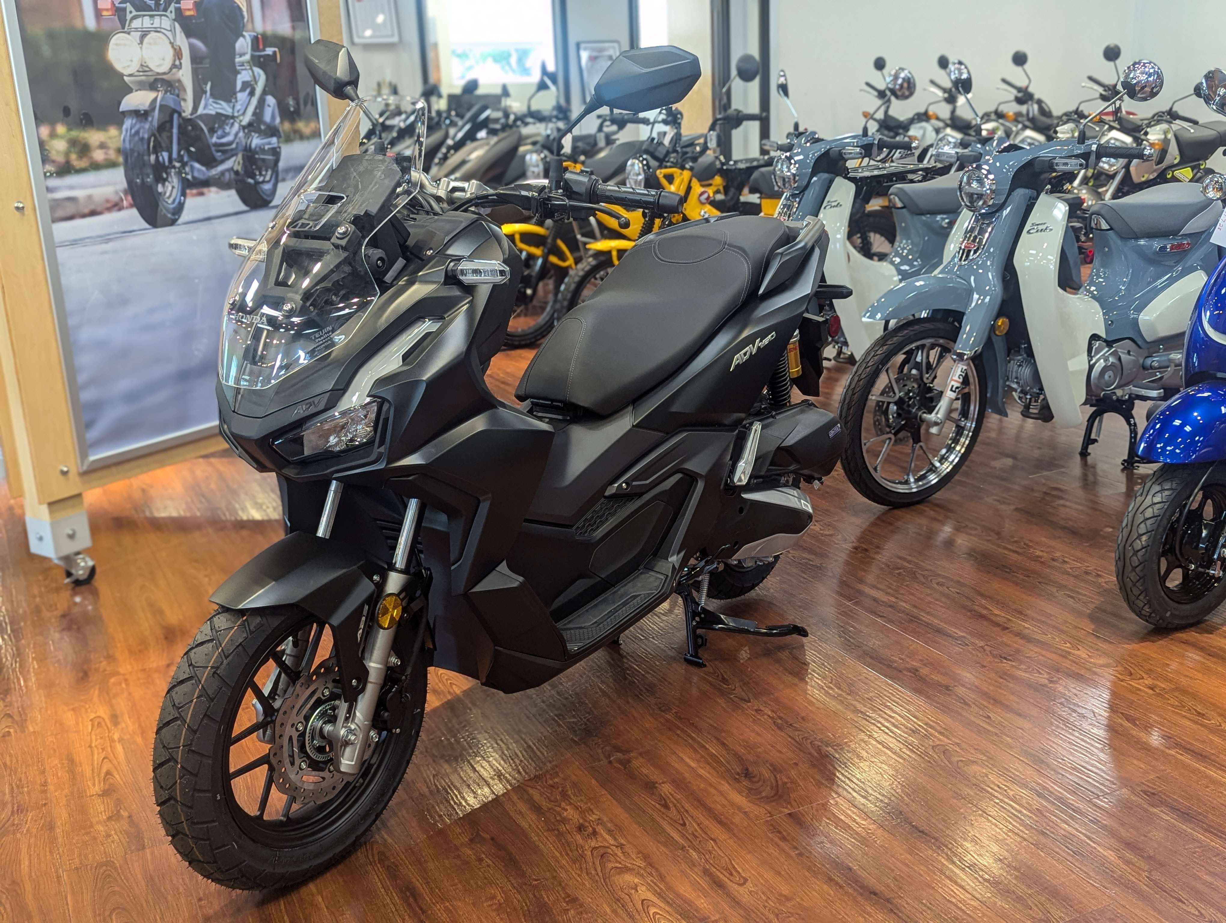 2027 Honda ADV160 160 in Winchester, VA