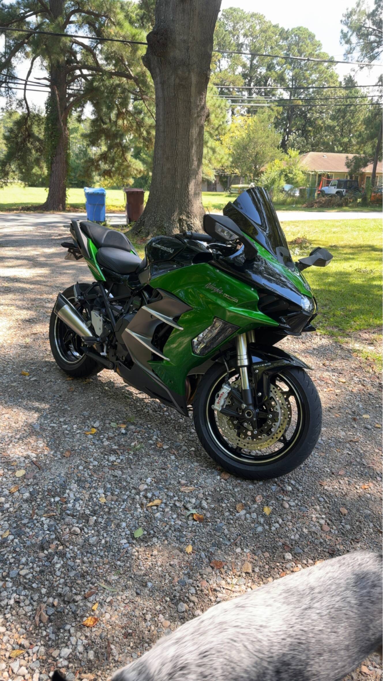 A photo of this 2025 Kawasaki NINJA H2 SX SE 