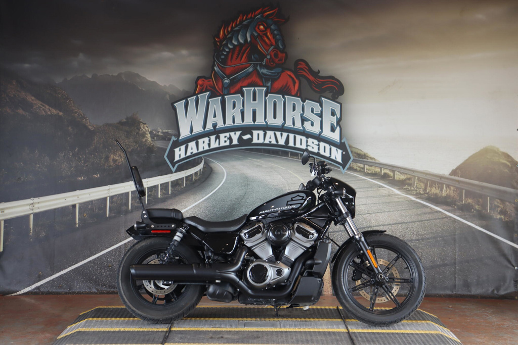 2022 Harley-Davidson Sportster Nightster NIGHTSTER in Ocala, FL
