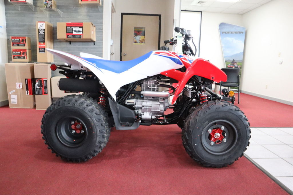 2026 Honda® TRX250X in homosassa FL