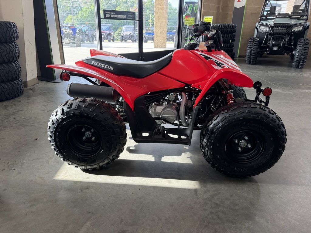 2025 Honda® TRX90X in rockingham NC