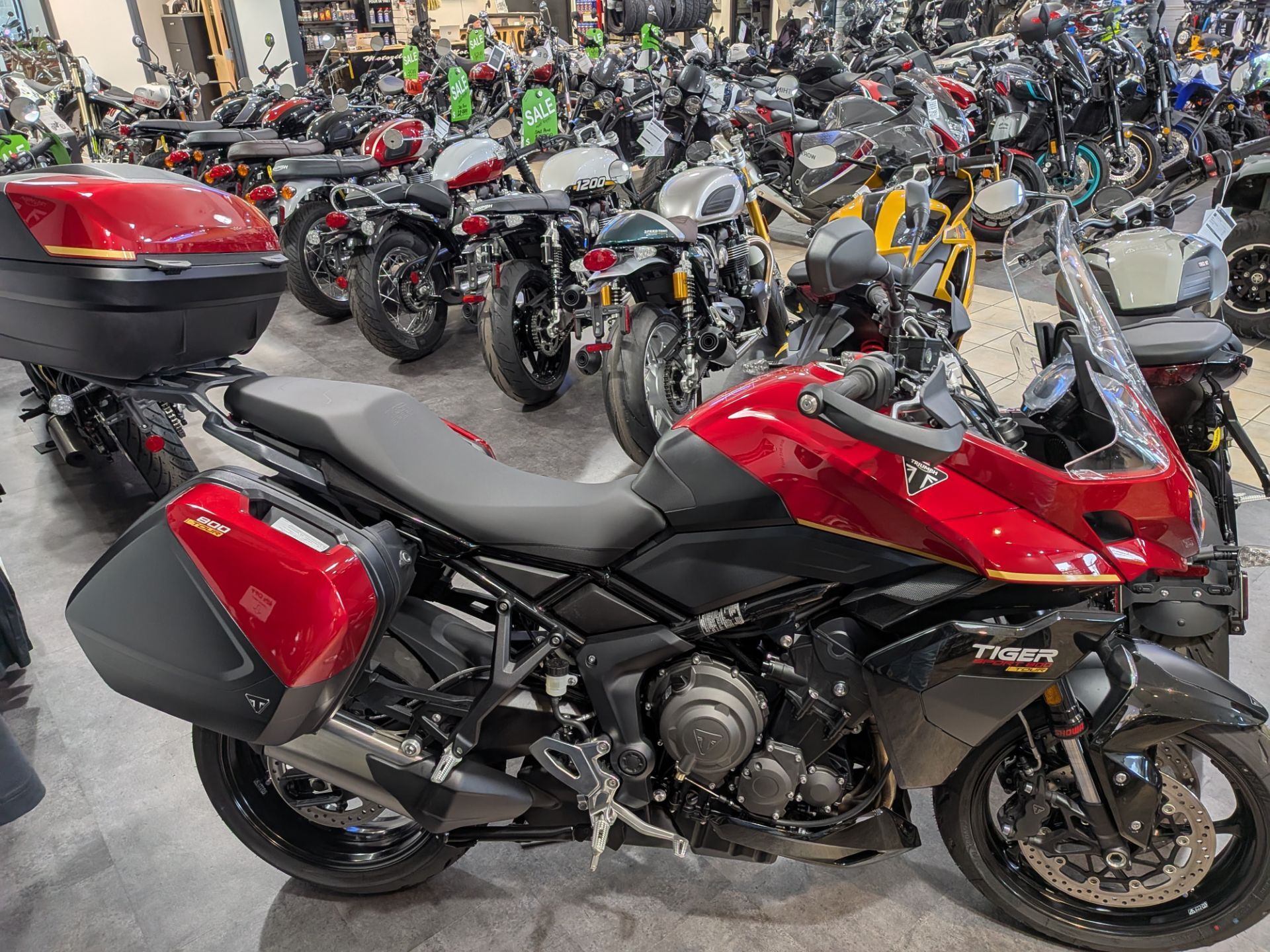 2026 Triumph Tiger Sport 800 Tour SPORT in Warren, OH