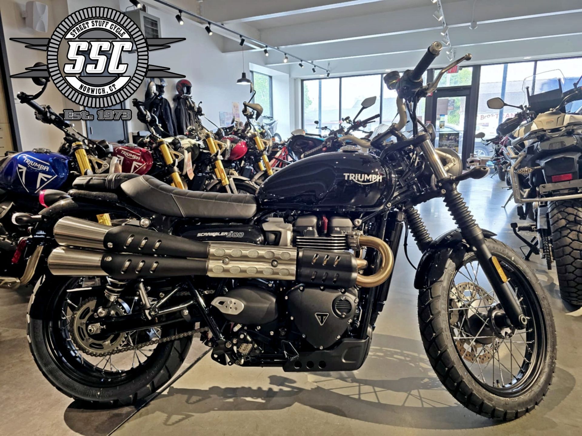 2025 Triumph Scrambler 900 in Norwich, CT