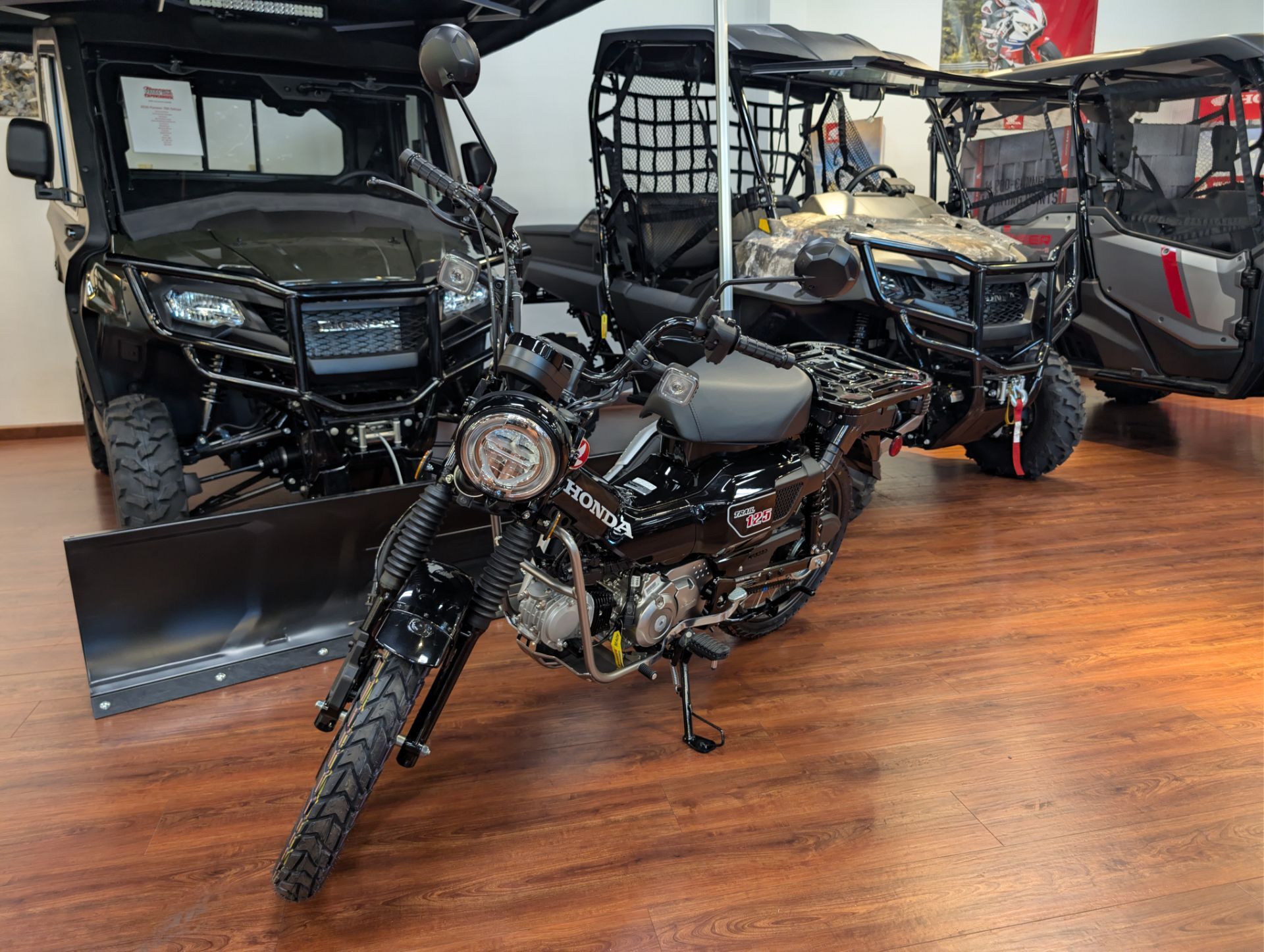 2026 Honda Trail125 125 in Winchester, VA