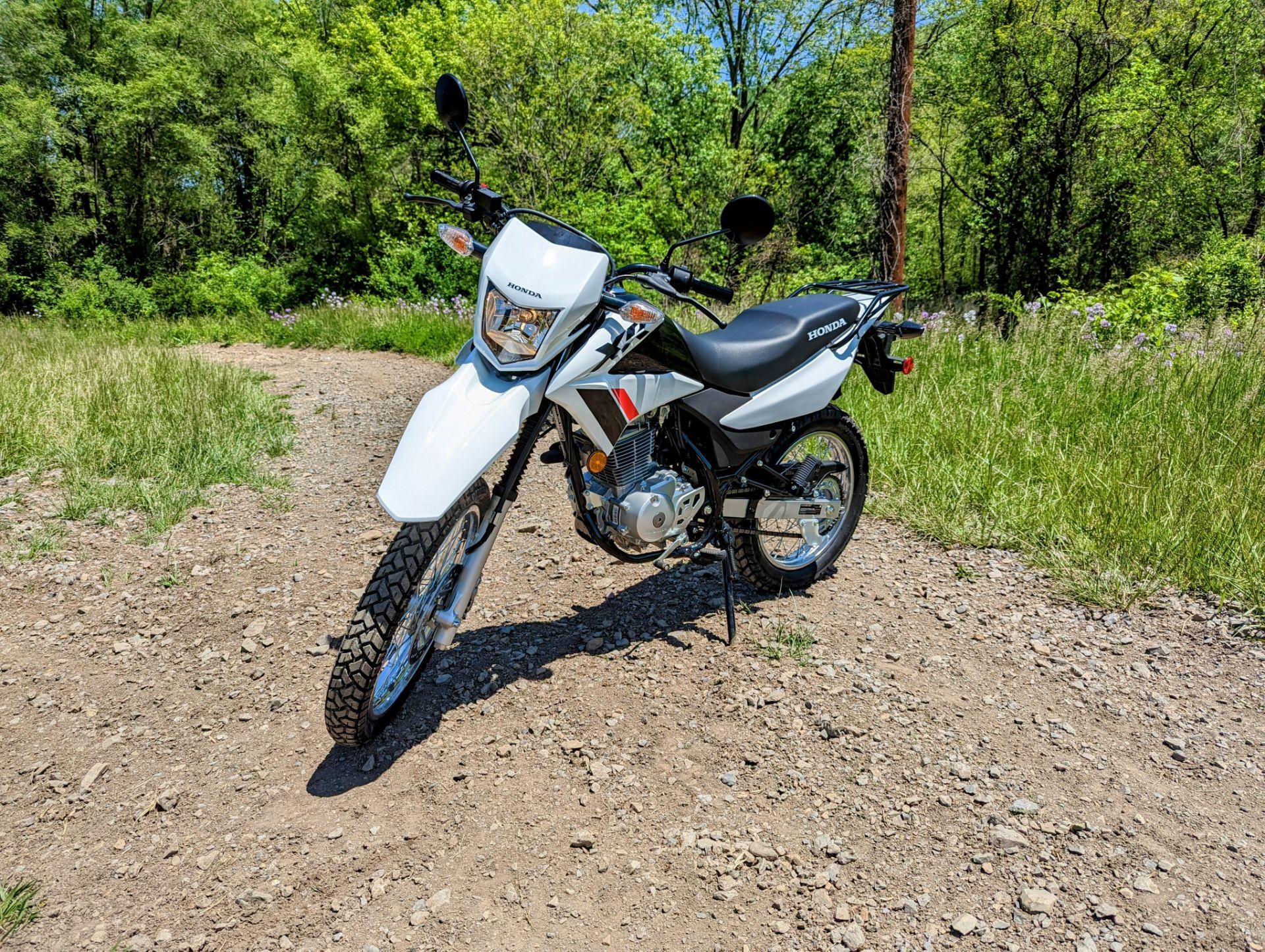 2025 Honda XR150L 150L in Winchester, VA