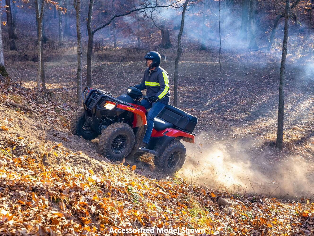 A photo of this 2026 Honda FourTrax Rubicon 700 4x4 Automatic